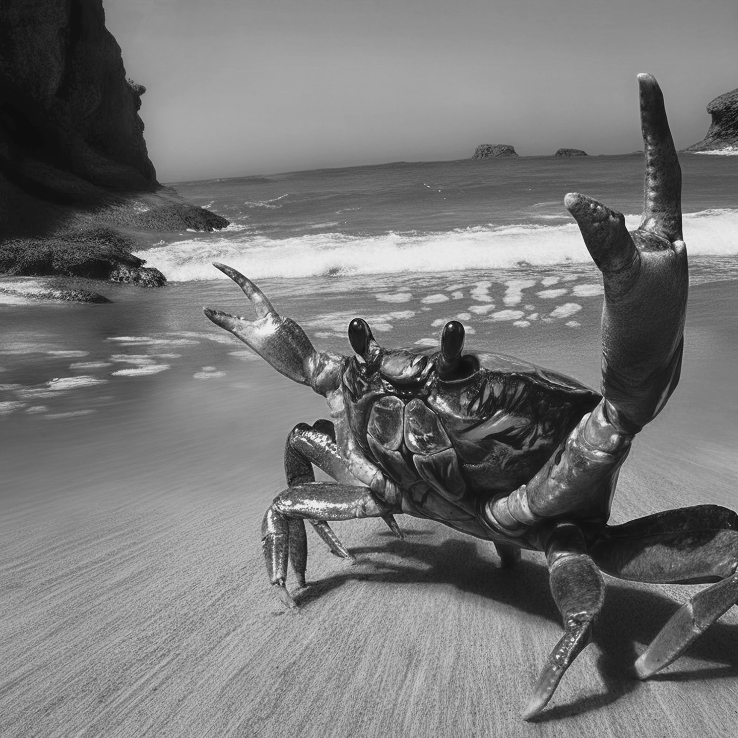 Rust crab mascot Ferris representing the Rust programming language